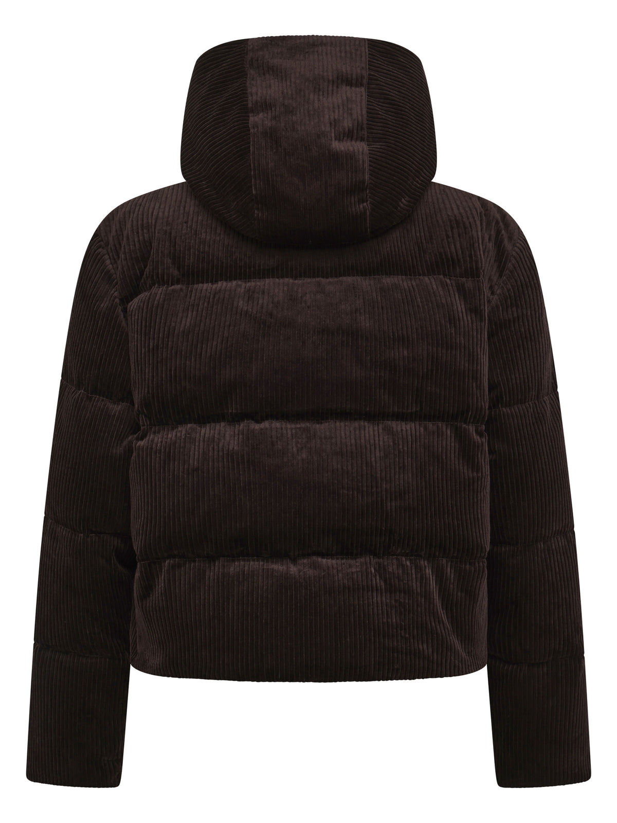 Knowledge Cotton Corduroy puffer jacket women